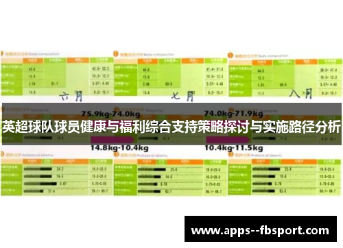 英超球队球员健康与福利综合支持策略探讨与实施路径分析