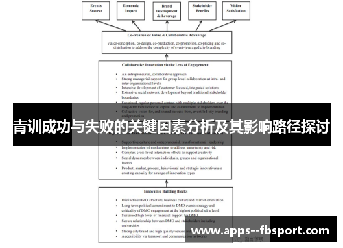 青训成功与失败的关键因素分析及其影响路径探讨