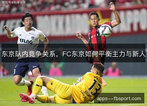 东京队内竞争关系,FC东京如何平衡主力与新人 东京队内竞争关系,FC东京如何平衡主力与新人